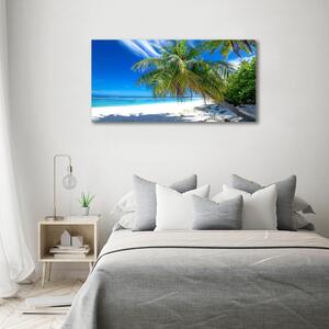 Tablou canvas plaja tropicala
