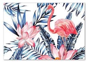 Fotografie imprimată pe sticlă Flamingos și plante