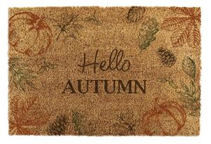 Covoraș de intrare din fibre de nucă de cocos 40x60 cm Hello Autumn – Artsy Doormats