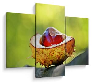 Tablou cu castani (90x60 cm)