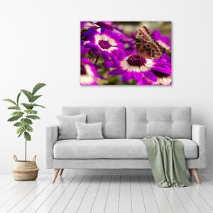 Tablou canvas Fluture pe o floare