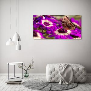 Tablou canvas Fluture pe o floare