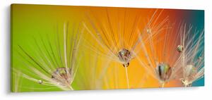 Tablou cu picături pe plantă (120x50 cm)