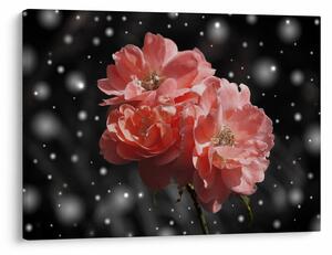 Tabloucu floare roz (70x50 cm)