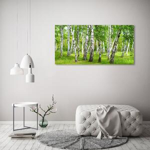 Tablou canvas pădurea de mesteacăn
