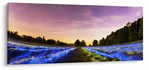 Tablou cu câmp colorat (120x50 cm)