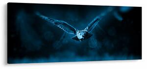 Tablou cu bufnița zburând (120x50 cm)