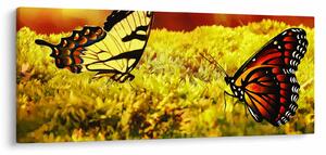 Tablou cu fluturi (120x50 cm)