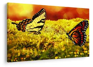 Tablou cu fluturi (90x60 cm)