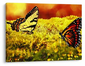 Tablou cu fluturi (70x50 cm)