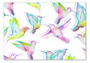 Fotografie imprimată pe sticlă colibri