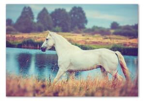 Imagine de sticlă White Lake Horse