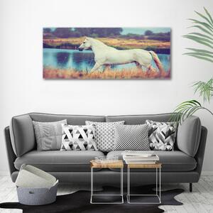 Tablou canvas White Lake Horse