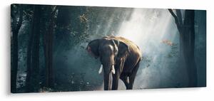 Tablou cu elefant în djunglă (120x50 cm)