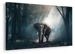 Tablou cu elefant în djunglă (90x60 cm)