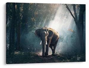 Tablou cu elefant în djunglă (70x50 cm)