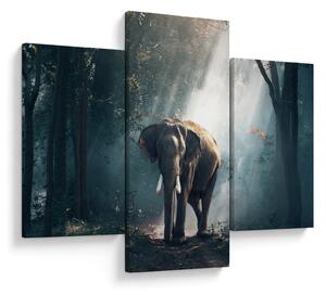 Tablou cu elefant în djunglă (90x60 cm)
