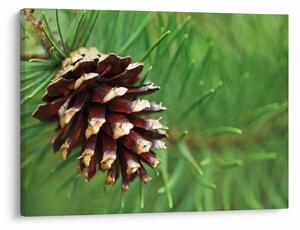 Tablou cu con (70x50 cm)