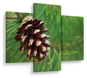 Tablou cu con (90x60 cm)