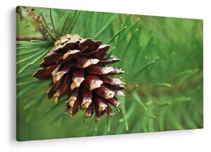 Tablou cu con (90x60 cm)
