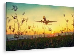 Tablou cu avion zburând (90x60 cm)