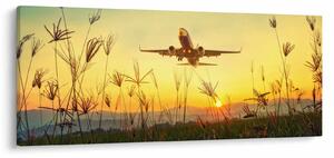 Tablou cu avion zburând (120x50 cm)