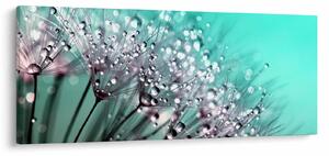 Tablou - planta cu rouă (120x50 cm)