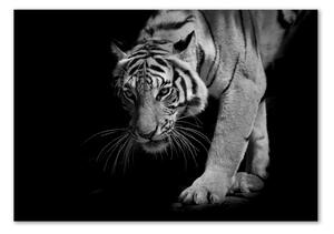 Imagine de sticlă Tigru