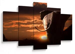 Tablou cu elefant (150x105 cm)