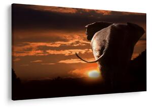 Tablou cu elefant (90x60 cm)