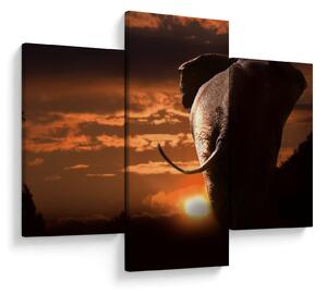 Tablou cu elefant (90x60 cm)