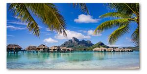 Fotografie imprimată pe sticlă Palmieri pe Bora Bora