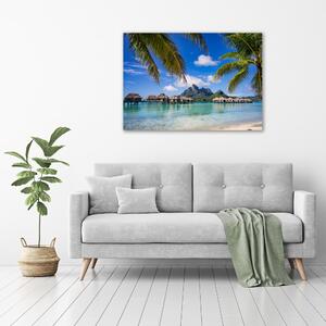 Tablou pe pânză Palmieri pe Bora Bora