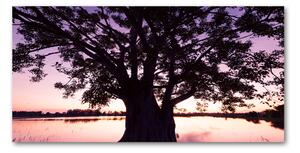 Fotografie imprimată pe sticlă Copac și Lacul
