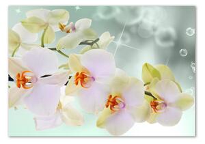 Tablou din Sticlă alb orhidee