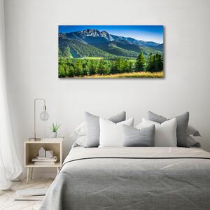 Tablou canvas Dealul din Tatra