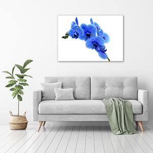Imagine de sticlă albastru orhidee