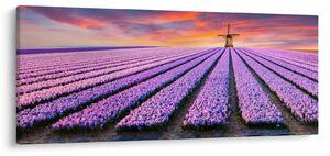 Tablou - ferma cu flori (120x50 cm)