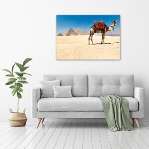 Tablou pe pânză Camel la Cairo