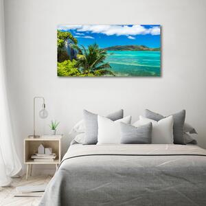 Imagine de sticlă Seychelles Coast