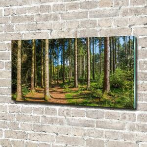 Tablou Printat Pe Sticlă Panorama de pădure