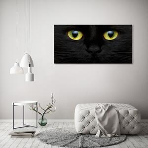 Print pe canvas Ochii pisicii