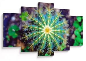 Tablou cu cactus (150x105 cm)
