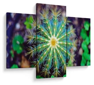 Tablou cu cactus (90x60 cm)