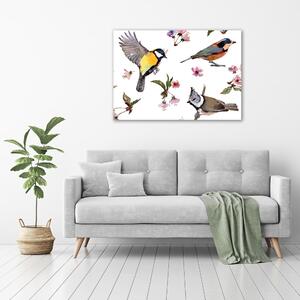 Tablou sticlă Bird flori de cires