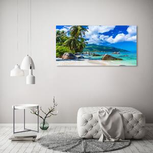 Print pe canvas plaja Seychelles