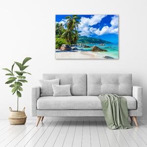 Print pe canvas plaja Seychelles