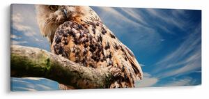 Tablou cu bufnița (120x50 cm)