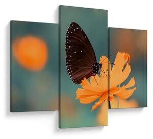 Tablou - fluture pe o floare portocalie (90x60 cm)