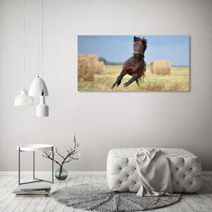 Tablou canvas Un cal în galop